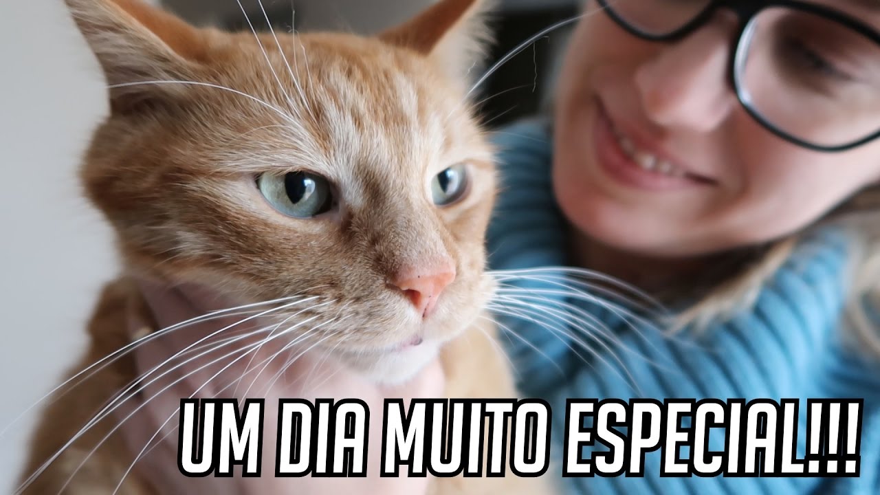 UM DIA MUITO ESPECIAL NO LAR SAPECA!