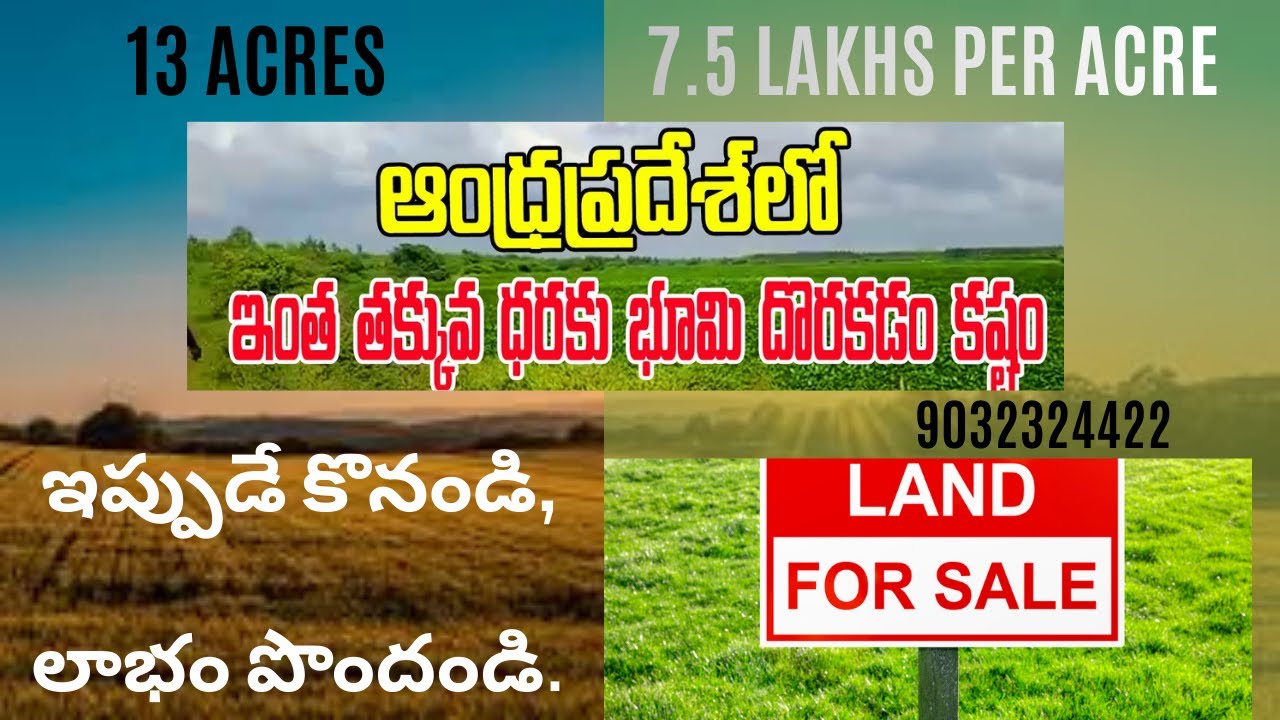 13 ఎకరాల సాగుభూమి 7.5 లక్షలు / ACRE మాత్రమే అతి తక్కువ ధర #9032324422 #yerragondapalem #prakasam