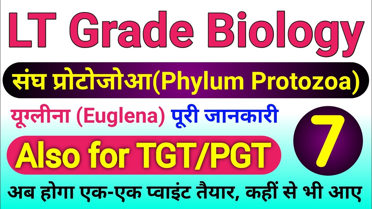 यूग्लीना (Euglena) | lt grade biology online classes | tgt biology classes | tgt pgt Biology 2022