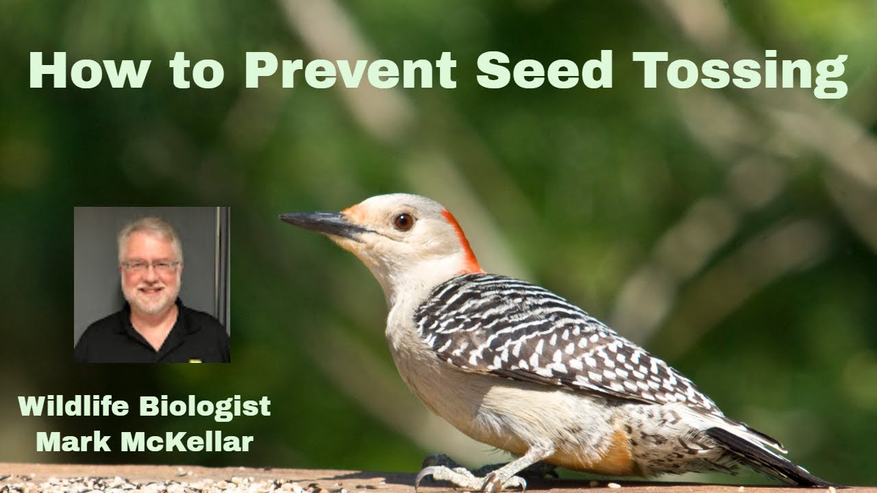 How to Prevent Seed Tossing?