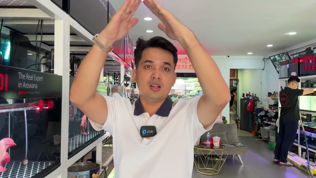 Loại đuôi nào của CR đẹp nhất
