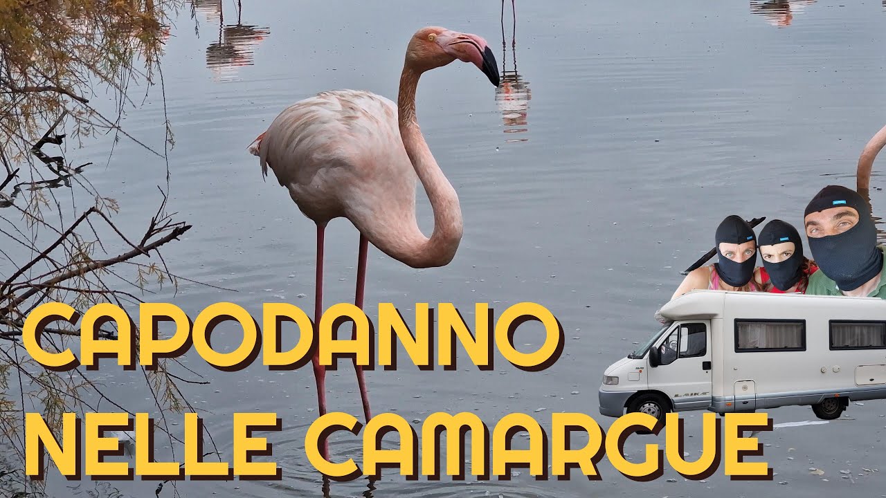 ITINERARI - CAPODANNO IN CAMARGUE - tra Fenicotteri e cavalli!!!