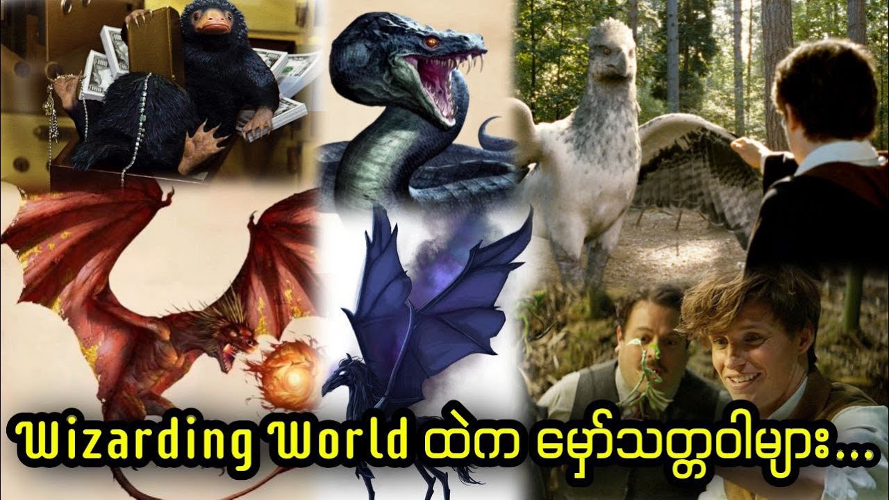 Wizarding World ထဲက မှော်သတ္တဝါများ...