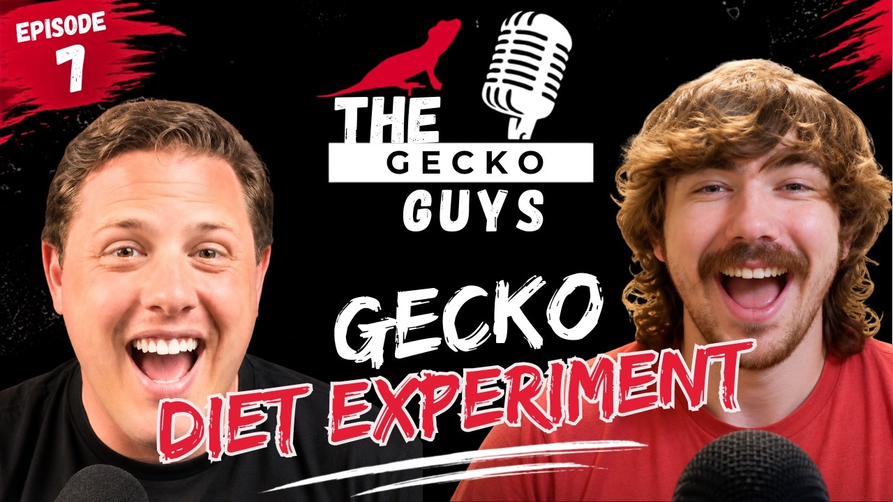 Gecko Diet Experiment -The Gecko Guys- Episode 7