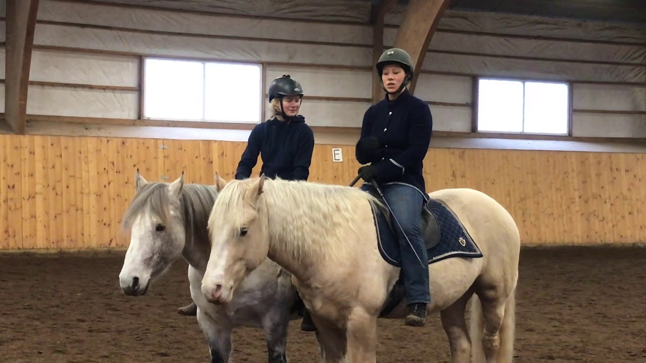 LibertyDressage Step by step. With Rebecca Dahlgren