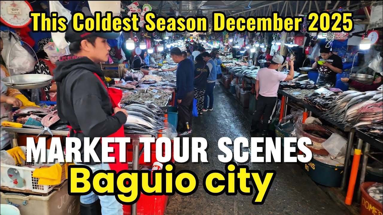 This Coldest Season December 2025 - MARKET TOUR SCENES in Baguio city Philippines 