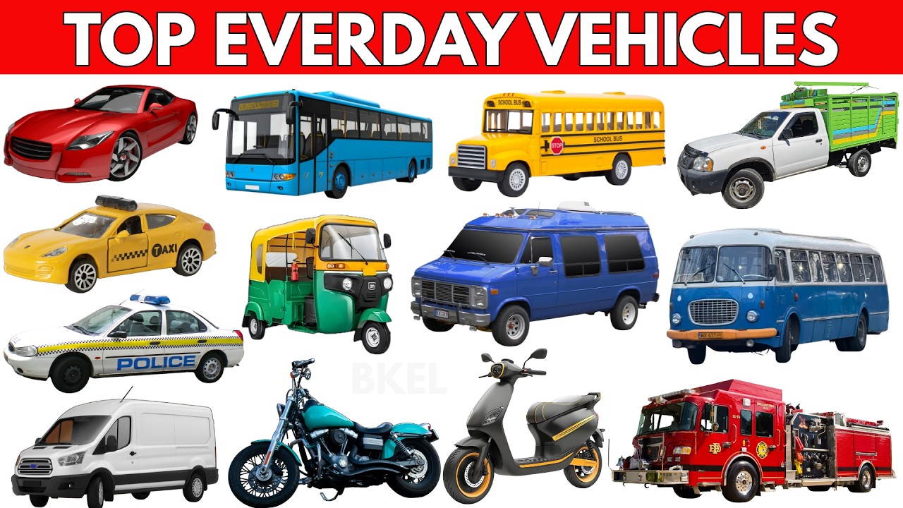 Top Everyday Vehicles for Kids 🚗🚌 Learn Cars, Buses, Bikes & Emergency Vehicles | Educational Video