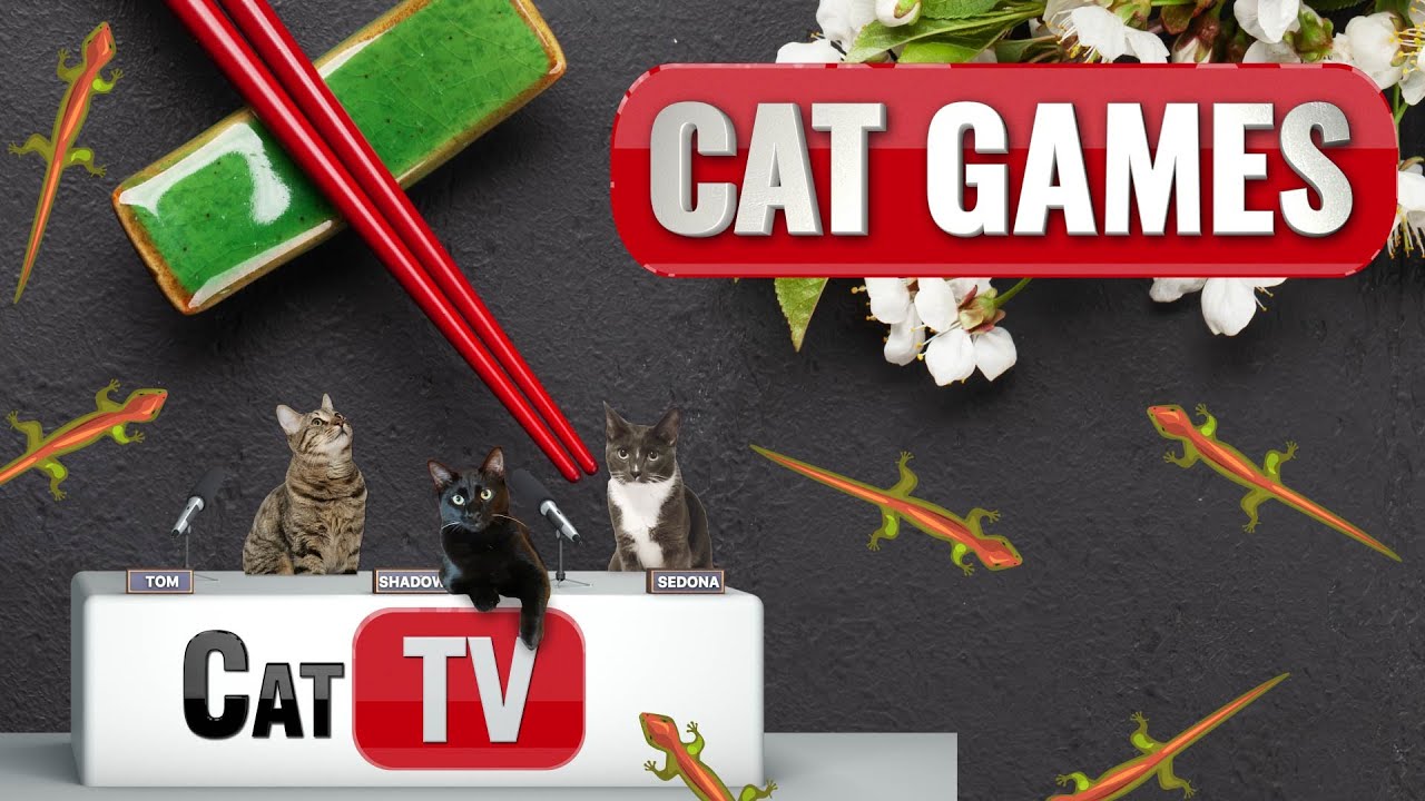 КОТ-игры | Ящерица Ларри исследует Японию! 🦎🇯🇵 | Видео о ящерицах для кошек 😼 | Кот ТВ