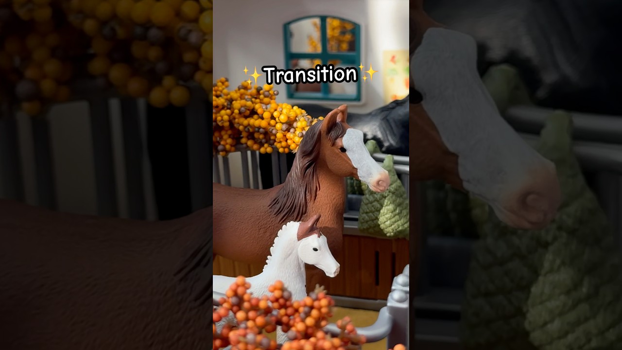 Осенний переход 🍂☕️🎃#осень #осень #уют #настроение