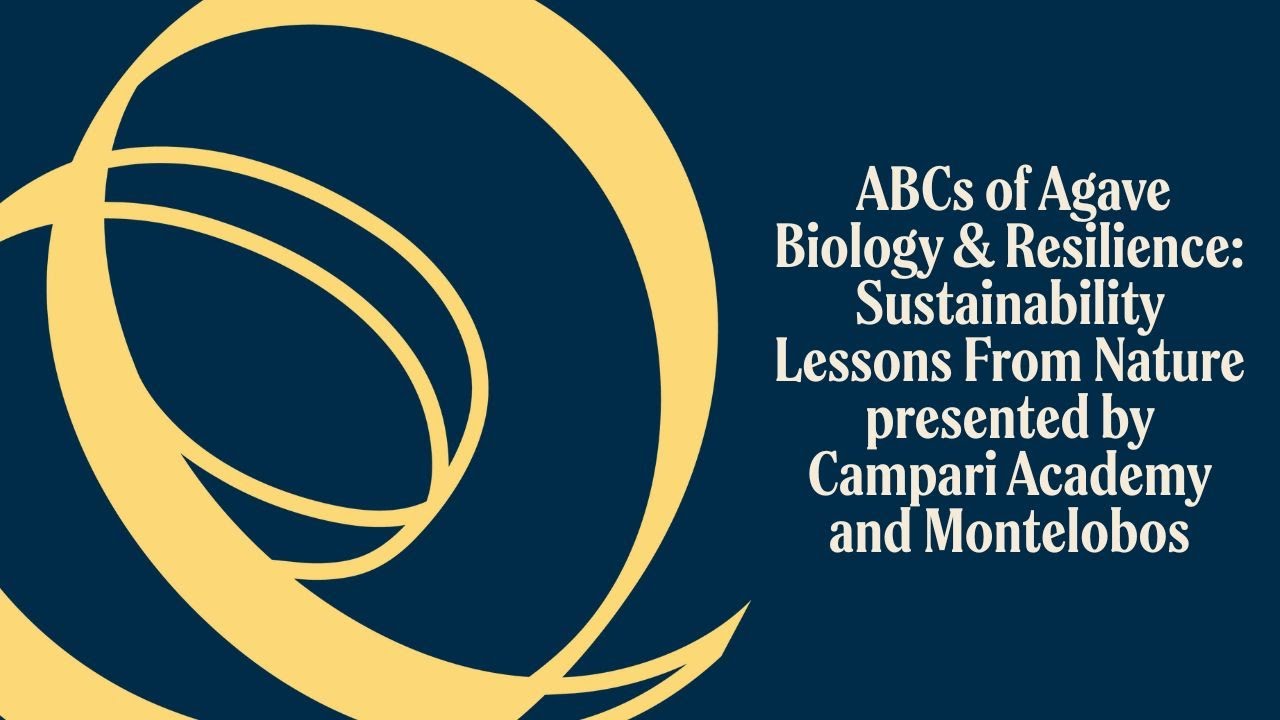 TOTC2025 Seminar: ABCs of Agave Biology & Resilience presented by Campari Academy and Montelobos