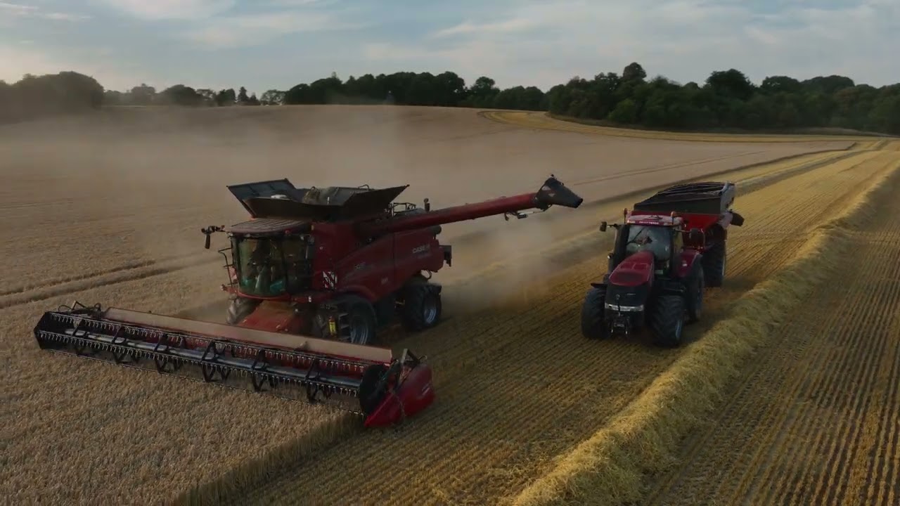 Høst På Frijsenborg | Høst 2022 | 2x Case Axial-Flow 8250 + Claas lexion 600 | By BØGH