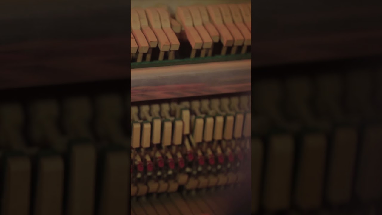 Pianista compositore Domenico Quaceci live in studio la strada vuota 