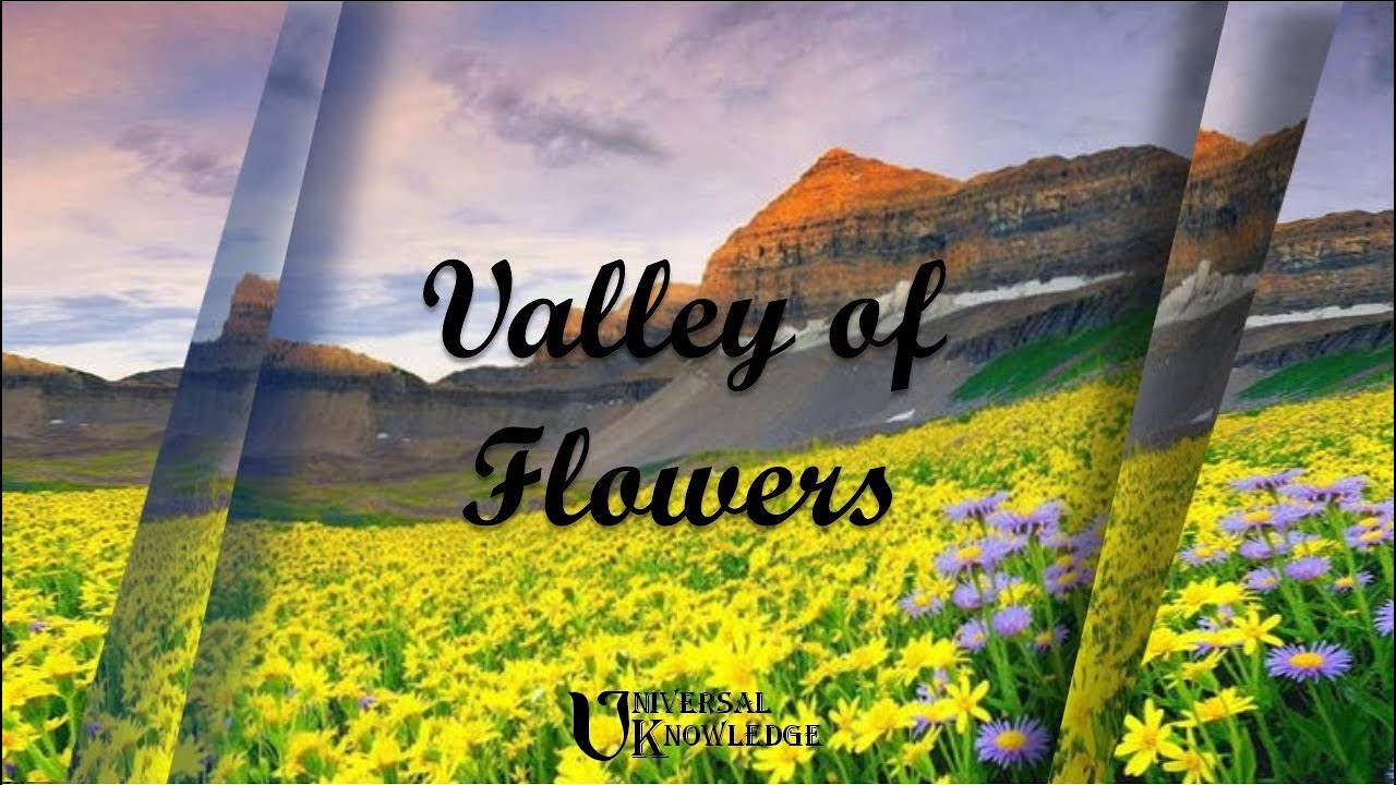Valley of Flowers, Uttarakhand, India - Journey to one of the rarest place on earth.