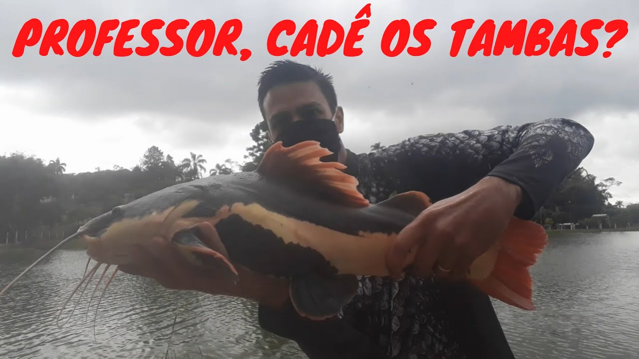 #57 - ERA PARA SER UMA PESCARIA DE TAMBAS - PESQUEIRO VISTA ALEGRE