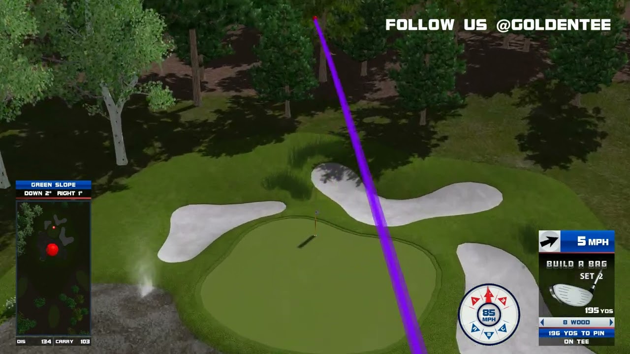Golden Tee Great Shot on Misty Springs 3!