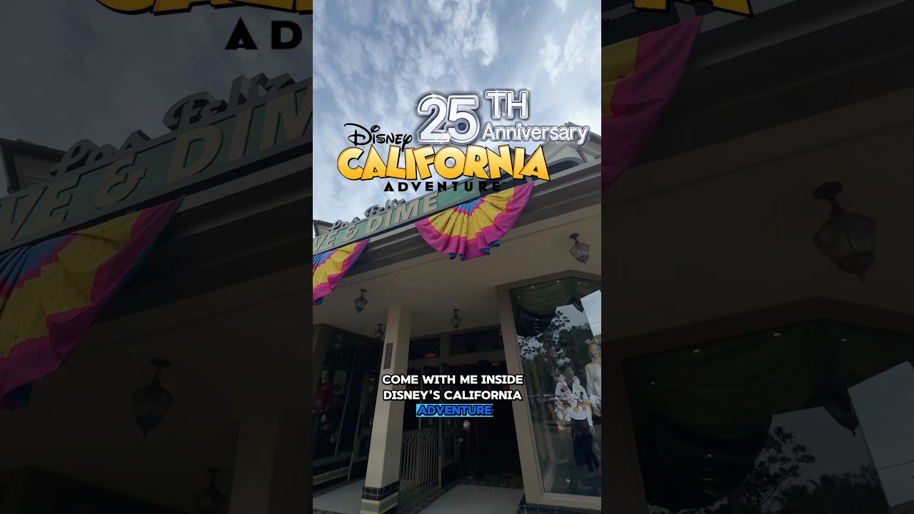 25-летие парка развлечений Disney California Adventure и новая футболка с изображением принцесс Д...