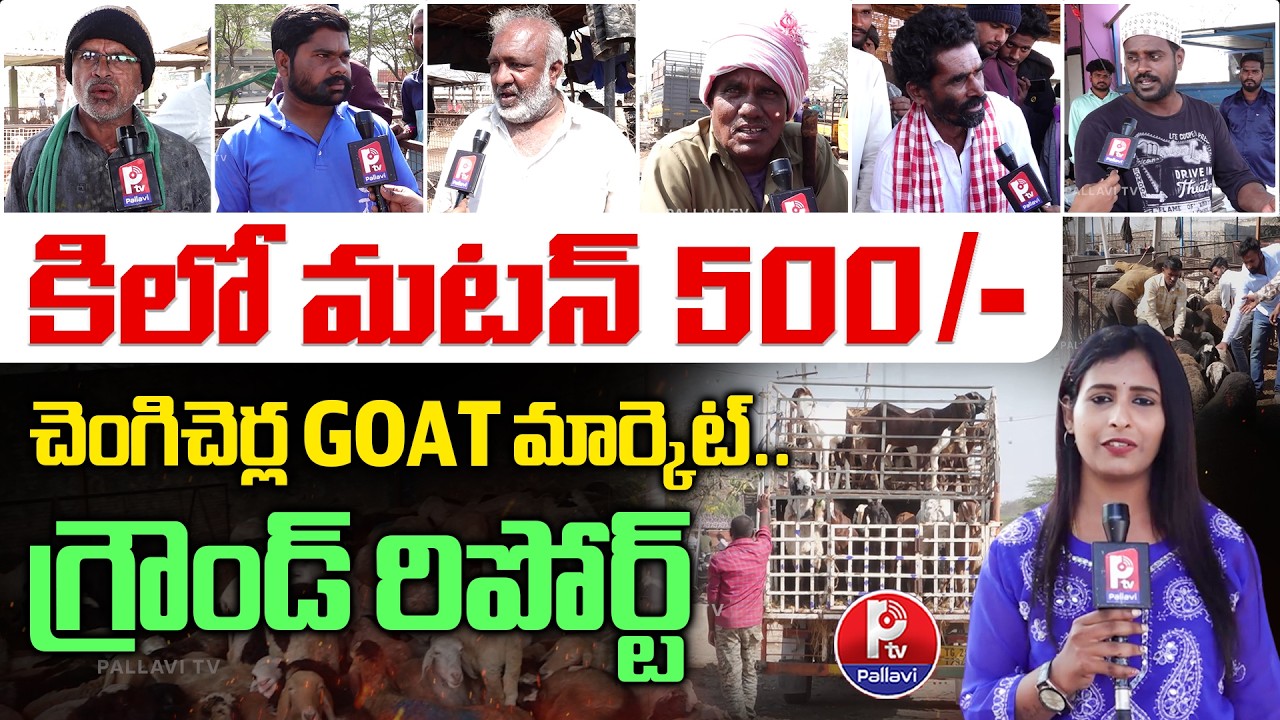 Chengicherla Goat Market 2026 Full Tour | Prices, Breeds & Business Insights | Pallavi TV