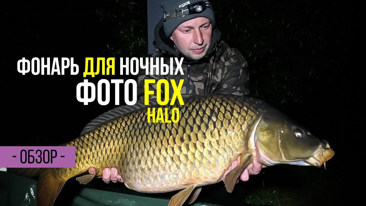 Фонарь для ночных фотографий FOX Halo Photography Light