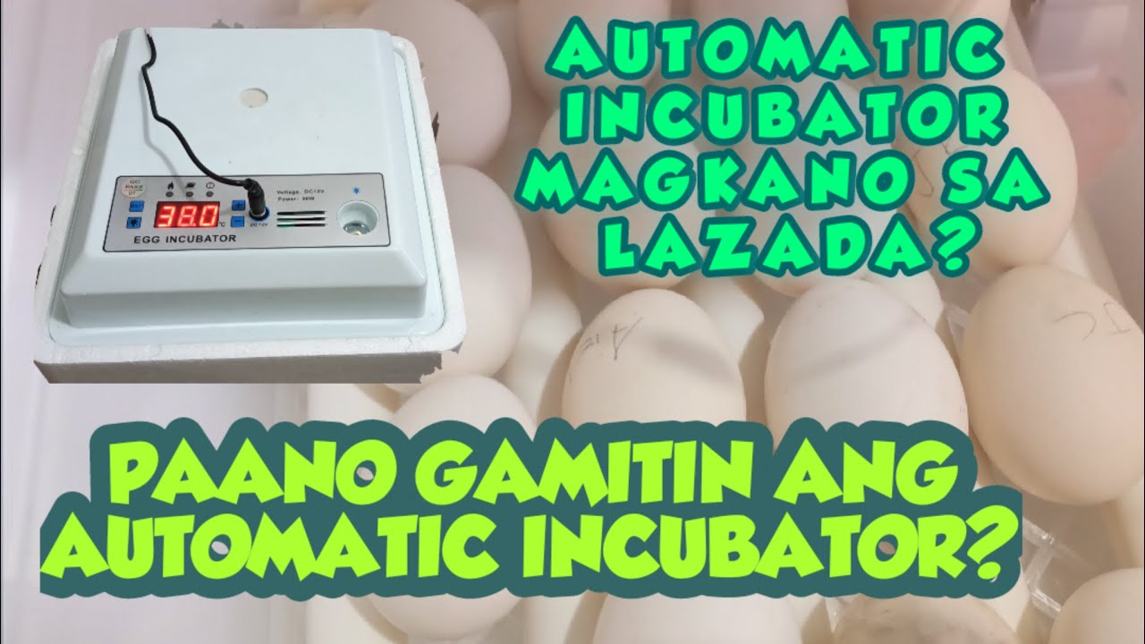 PAANO GAMITIN ANG AUTOMATIC INCUBATOR? UNBOXING FROM LAZADA/ UNANG SALANG NG MGA ITLOG