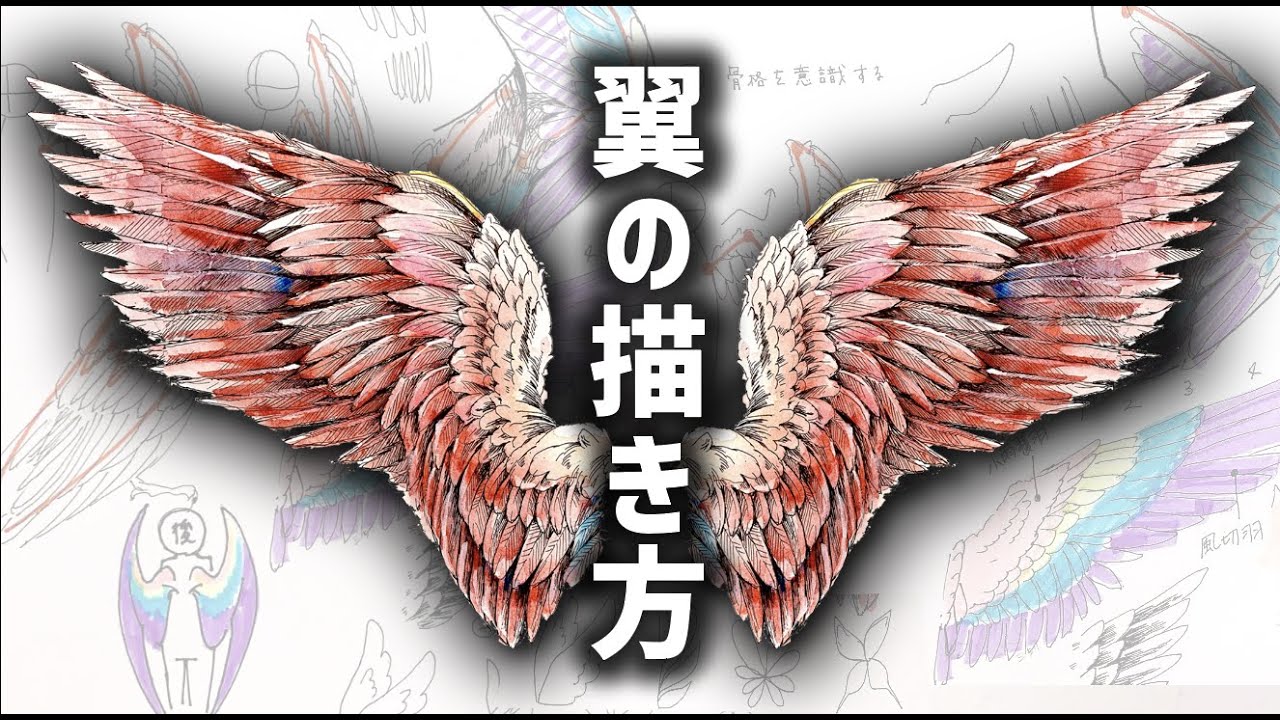 3つのコツを知ってるだけで一気に難易度下がります！🦅