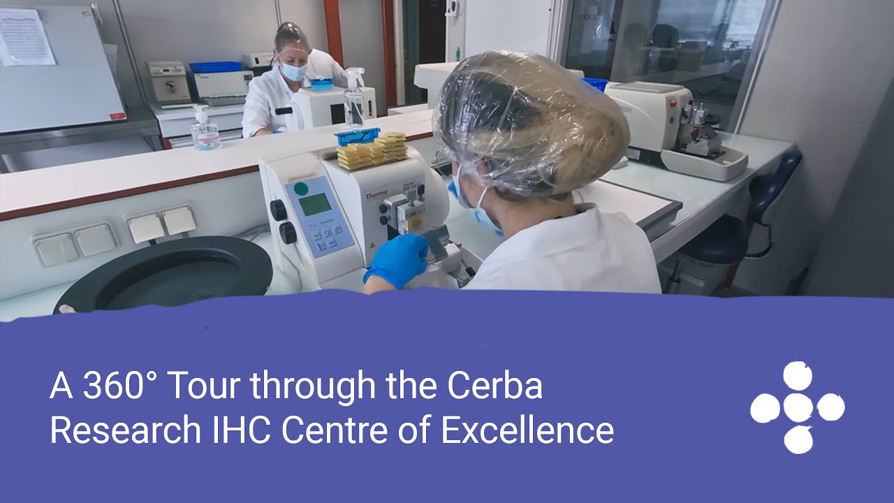A 360&deg; Tour through the Cerba Research IHC Centre of Excellence