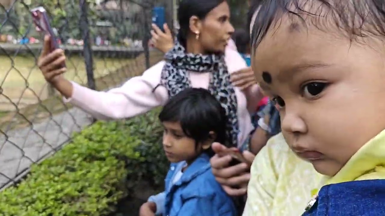 Arushi’s First Zoo Adventure 🐯✨ | চিড়িয়াখানায় নতুন দুনিয়া দেখলো ছোট্ট আরুশি