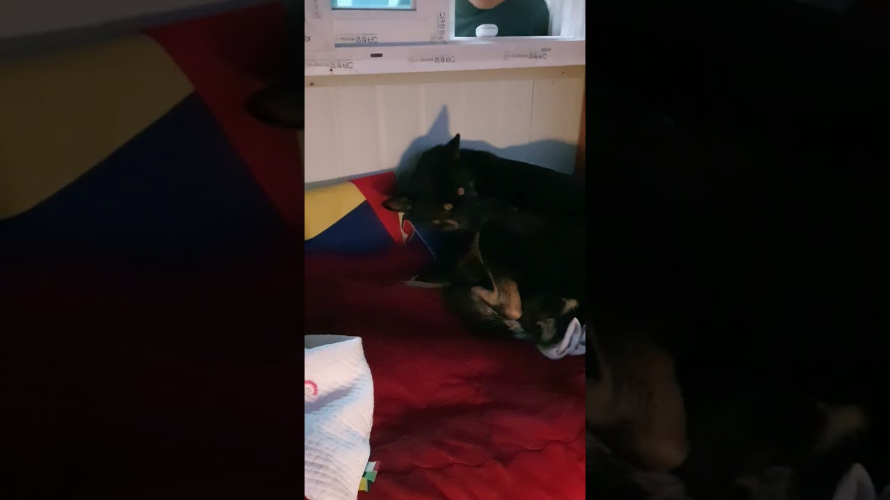 희망아,애기들아 태어나줘서고맙딘.