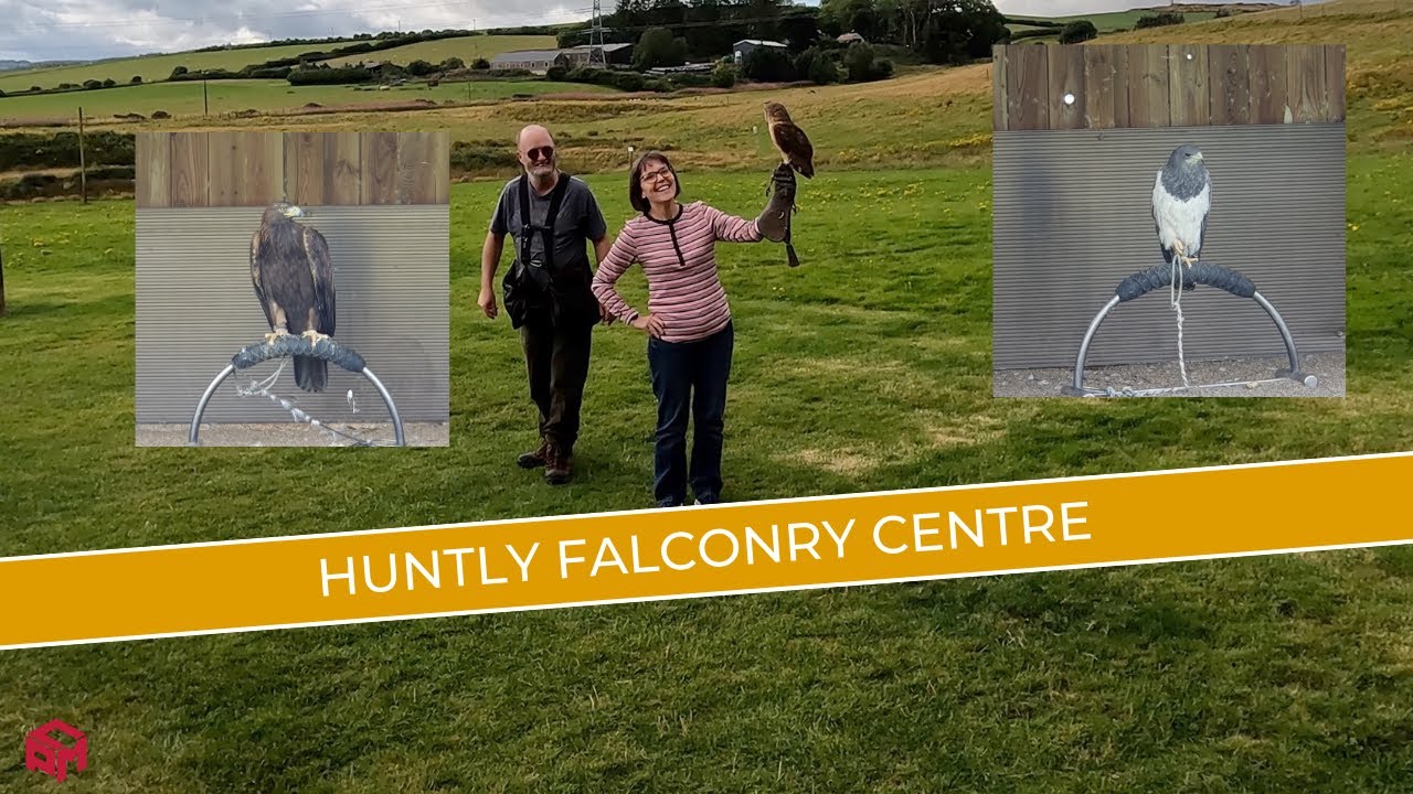 Huntly Falconry Centre