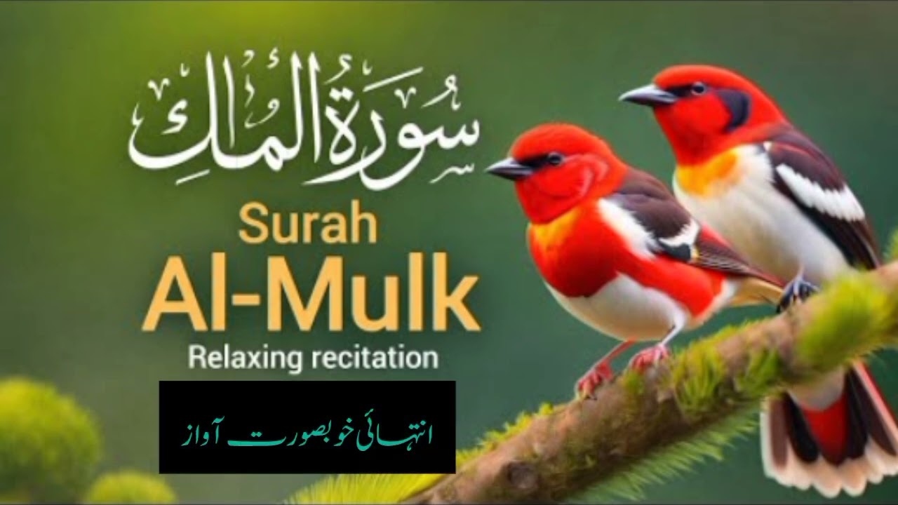  Surah Al-Mulk with beautiful voice||سورہ الملک||surah Al Mulk ko rat mein prdny ki fazilat