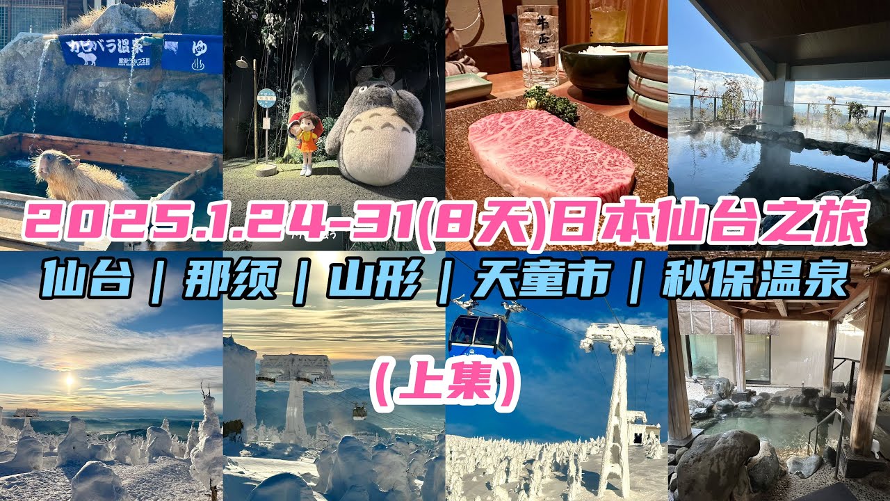 2025.1.24-31(8天)日本仙台自遊行（上集）仙台｜那须｜山形縣｜天童市
