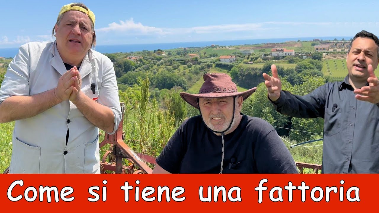 Insegnare al cagamirtilli come si tiene una fattoria... ma lui pensa ad altro 