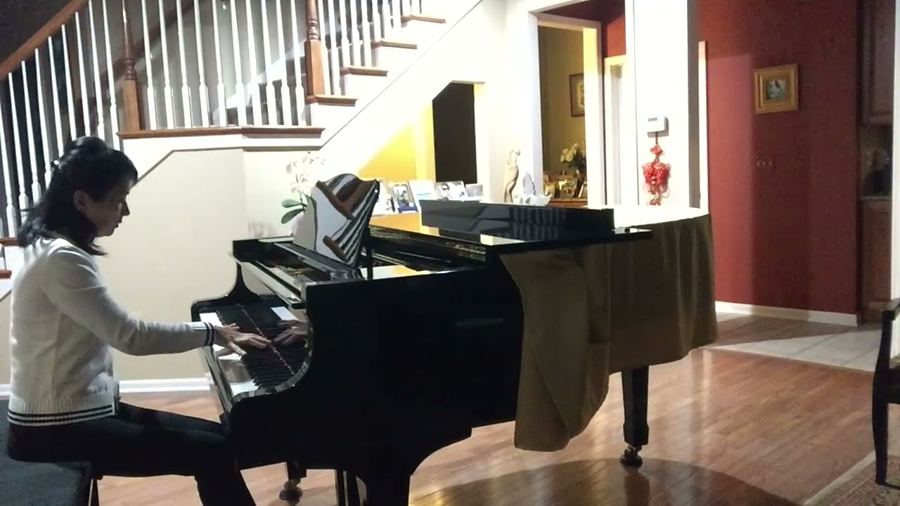 Yesenia movie theme song 叶塞尼亚 Adult Piano Progress