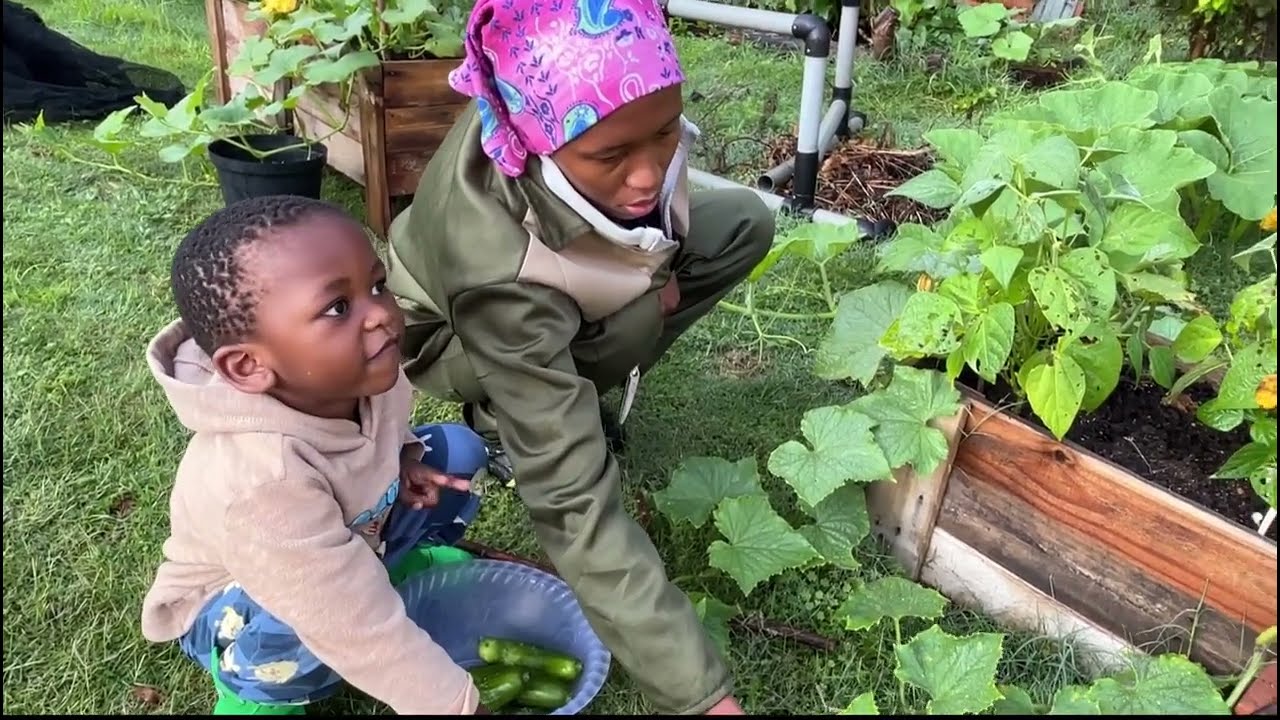 From City Backyard to Abundant Harvest | Urban Homestead Summer Garden