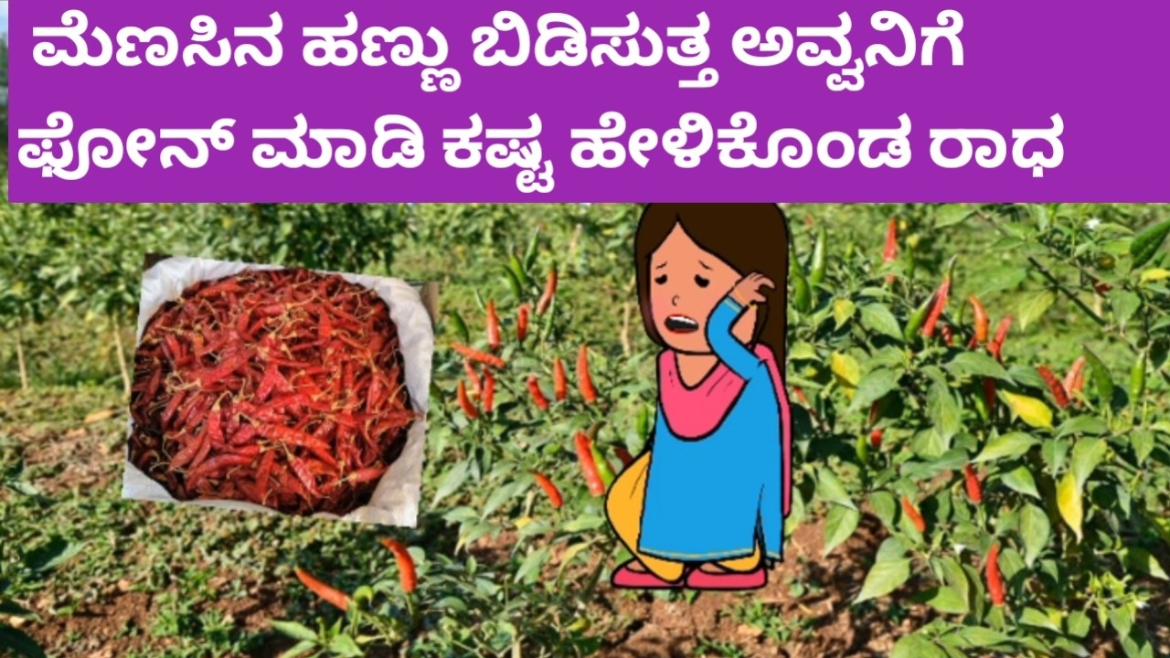 ಮೆಣಸಿನ ಹಣ್ಣು ಬಿಡಿಸುತ್ತಾ ಅವ್ವನಿಗೆ ಫೋನ್ ಮಾಡಿ ಕಷ್ಟ ಹೇಳಿಕೊಂಡ ರಾಧ  ./Hallicartoontv/attevssose