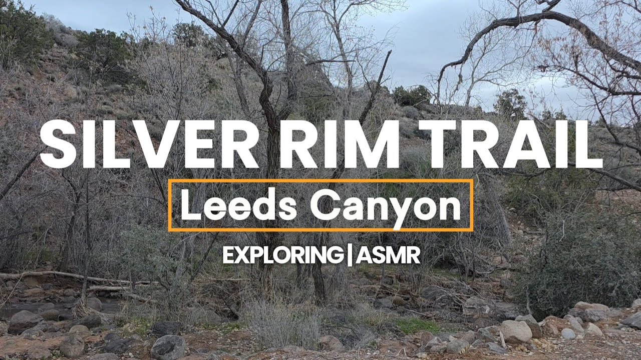 ASMR Hiking Silver Rim Trail | Peaceful Footsteps & Scenic Views