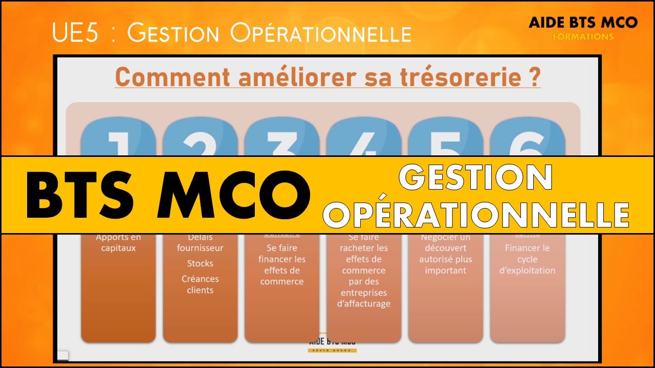 AIDE BTS MCO | Comment bien g&eacute;rer la tr&eacute;sorerie d'une entreprise ? | GESTION OP&Eacute;RATIONNELLE