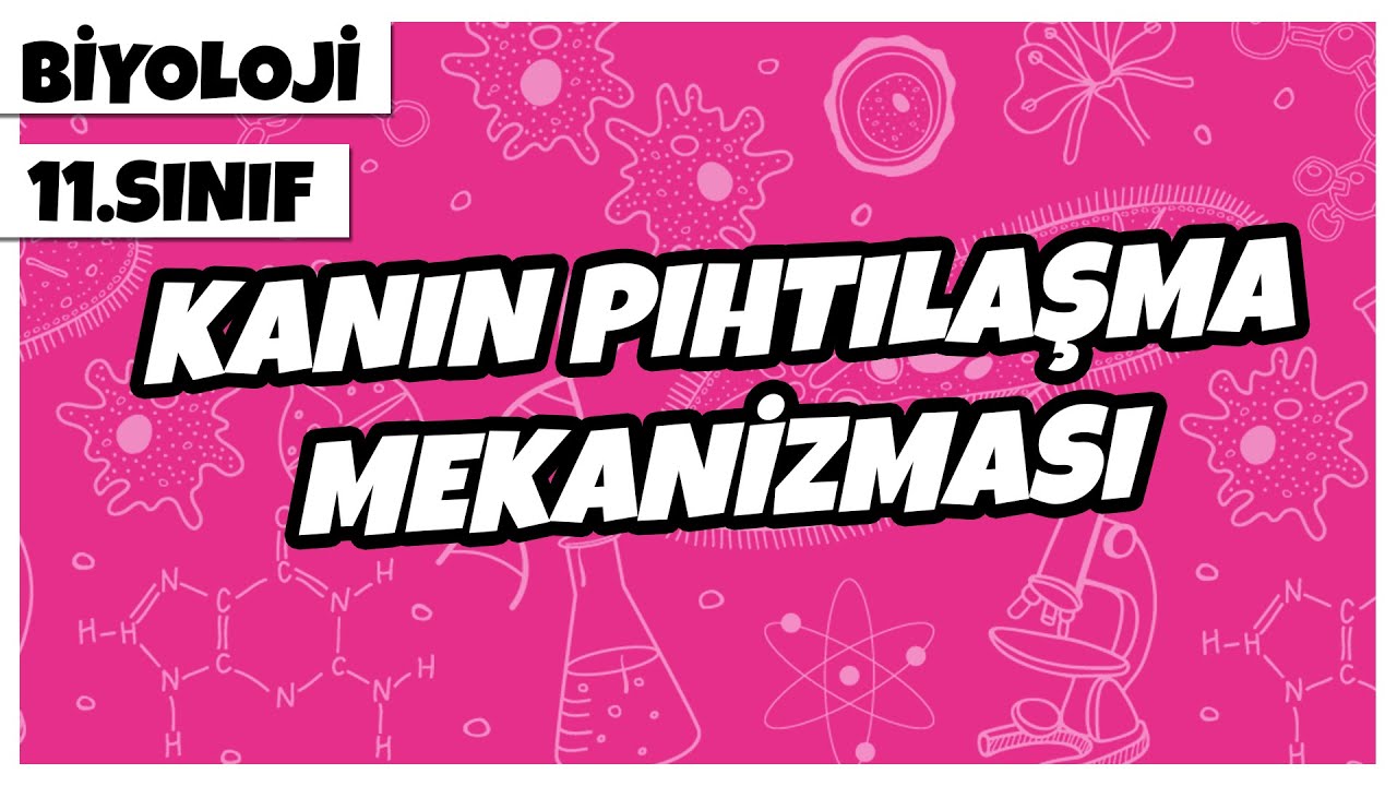 11. Sınıf Biyoloji - Kanın Pıhtılaşma Mekanizması | 2022