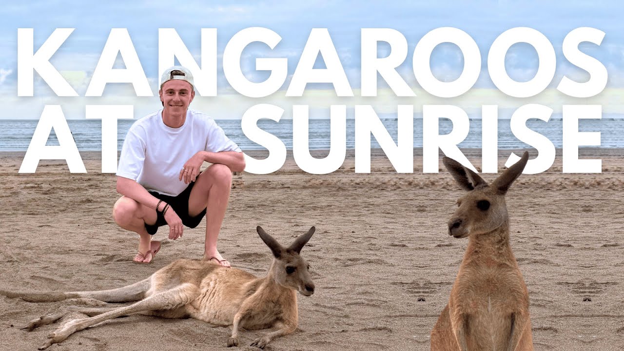 We Woke Up to Kangaroos at Sunrise!🦘 | UK Couple Travelling Australia🇦🇺