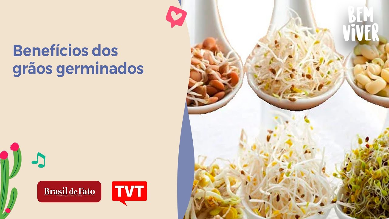 Benefícios dos grãos germinados - Bem Viver