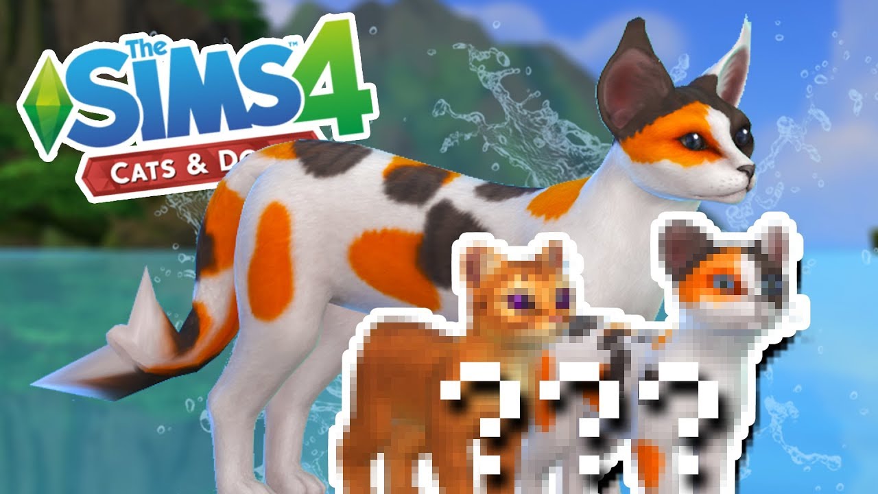 Блеск золотистых кои-русалочьих котят?! 🐱🌴🌊