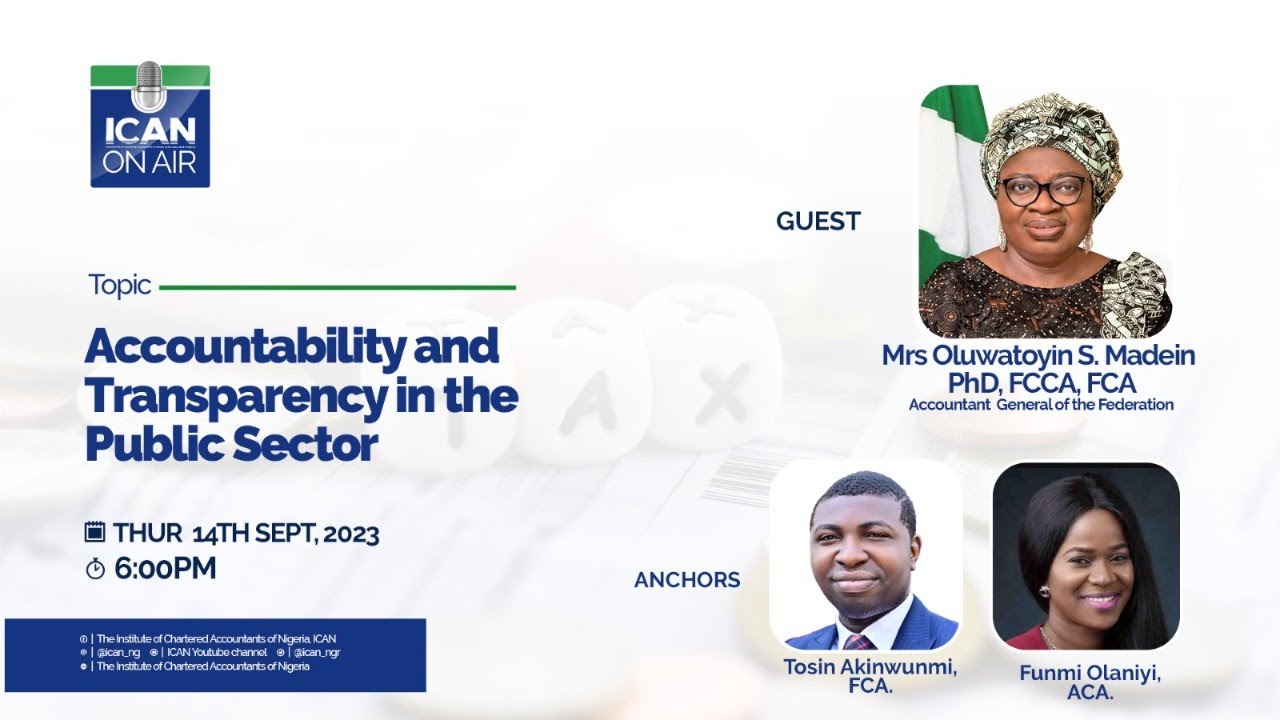 ACCOUNTABILITY AND TRANSPARENCY IN THE PUBLIC SECTOR