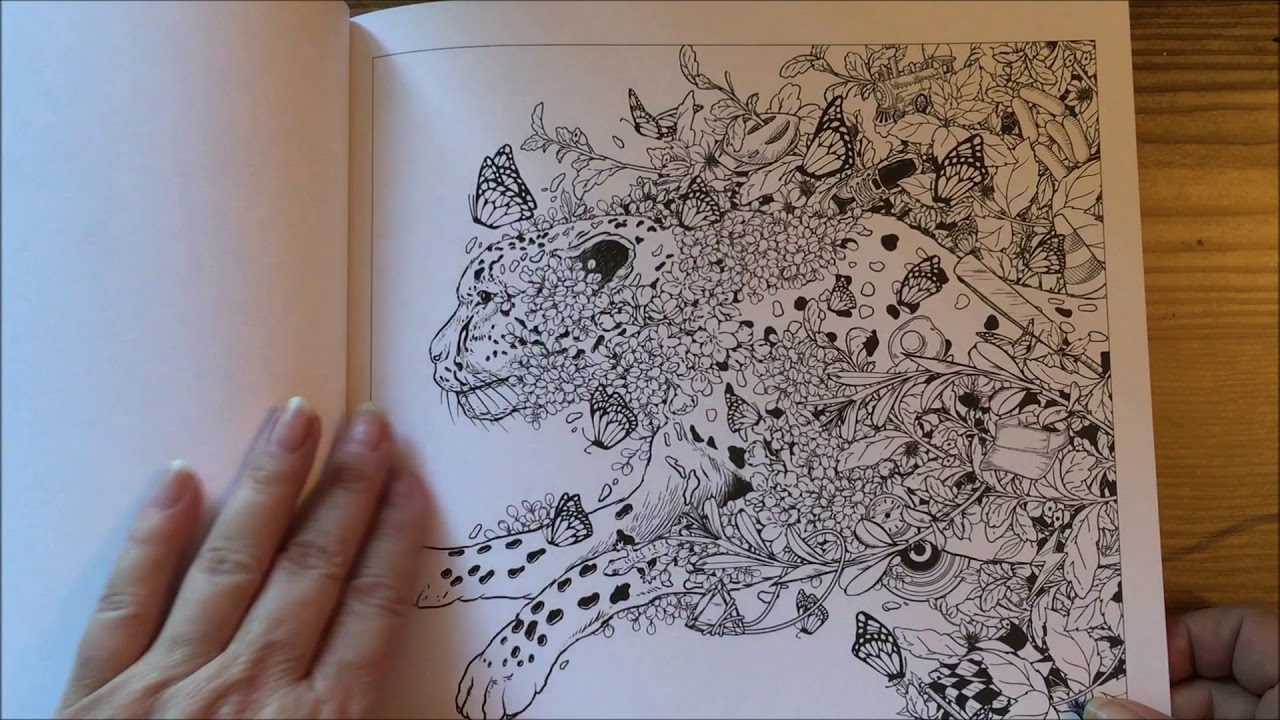 Adult Coloring book flip through - Mythographic Color and Discover Animals