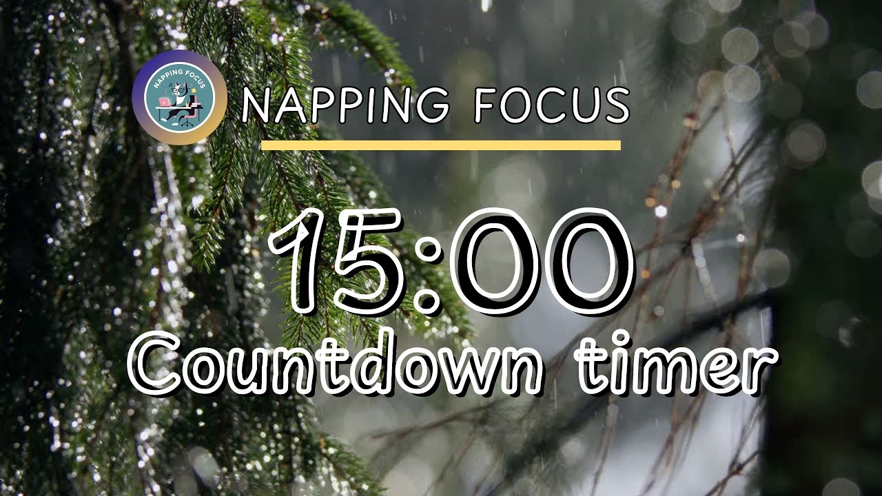 15 Minute Timer with Rain Sounds | Deep Work Sprint with Calming Nature Sounds 🌲