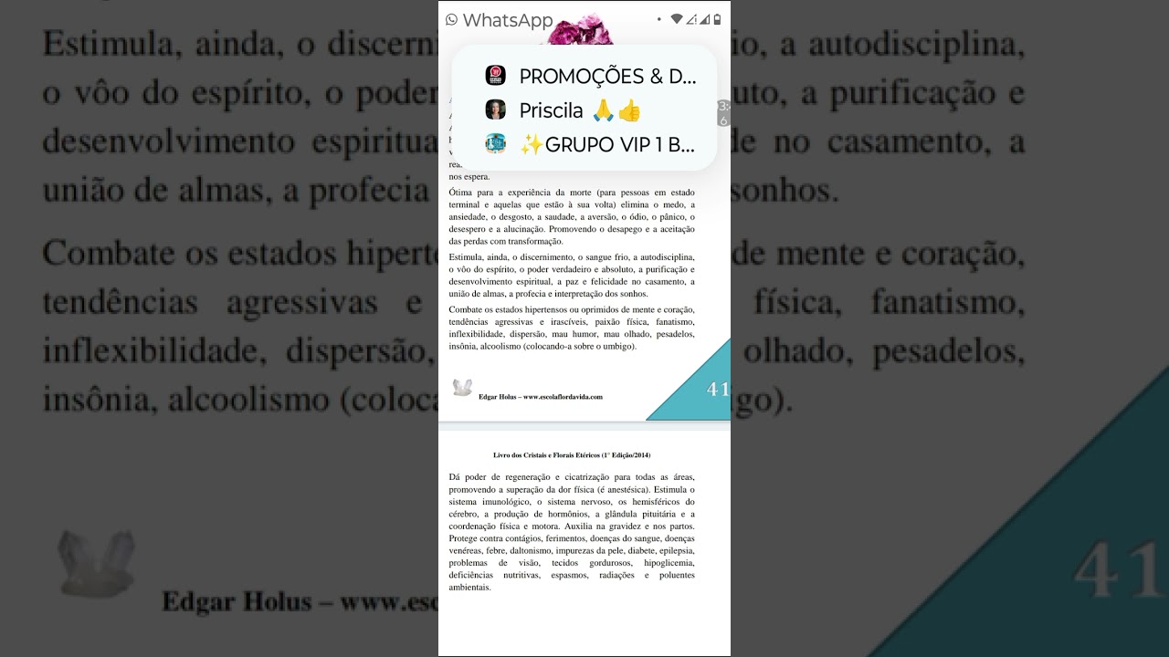 Leitura do livro Florais etéricos quânticos universais - âmbar, ametista e água marinha.