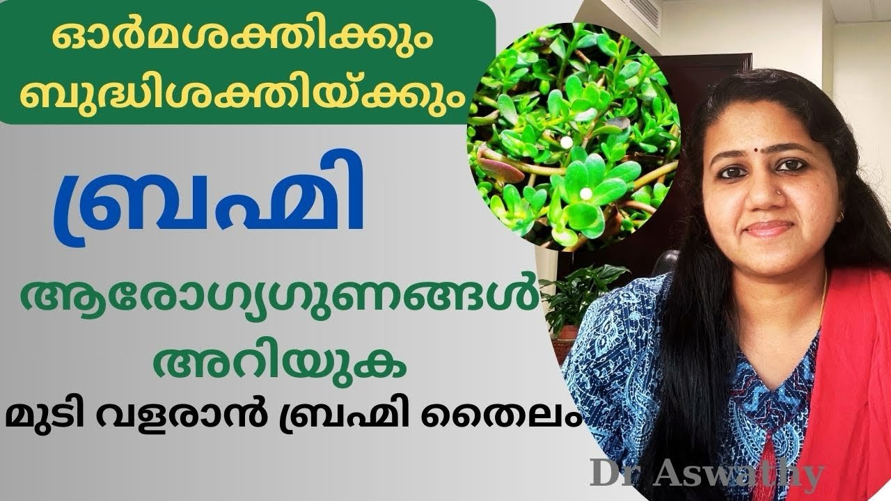 ബ്രഹ്മി ആരോഗ്യഗുണങ്ങൾ।Brahmi benefits Malayalam |Brahmi Hair Oil