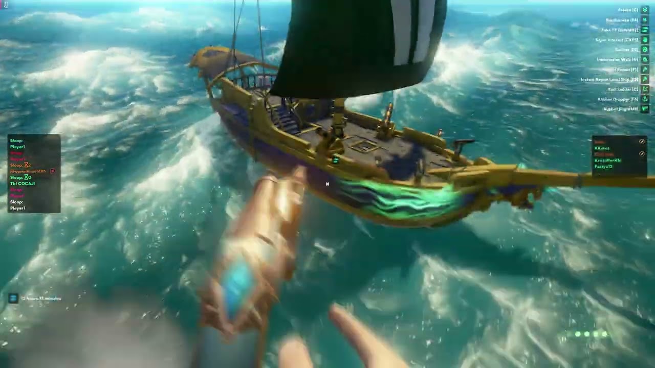 Aimbotting in Sea Of Thieves