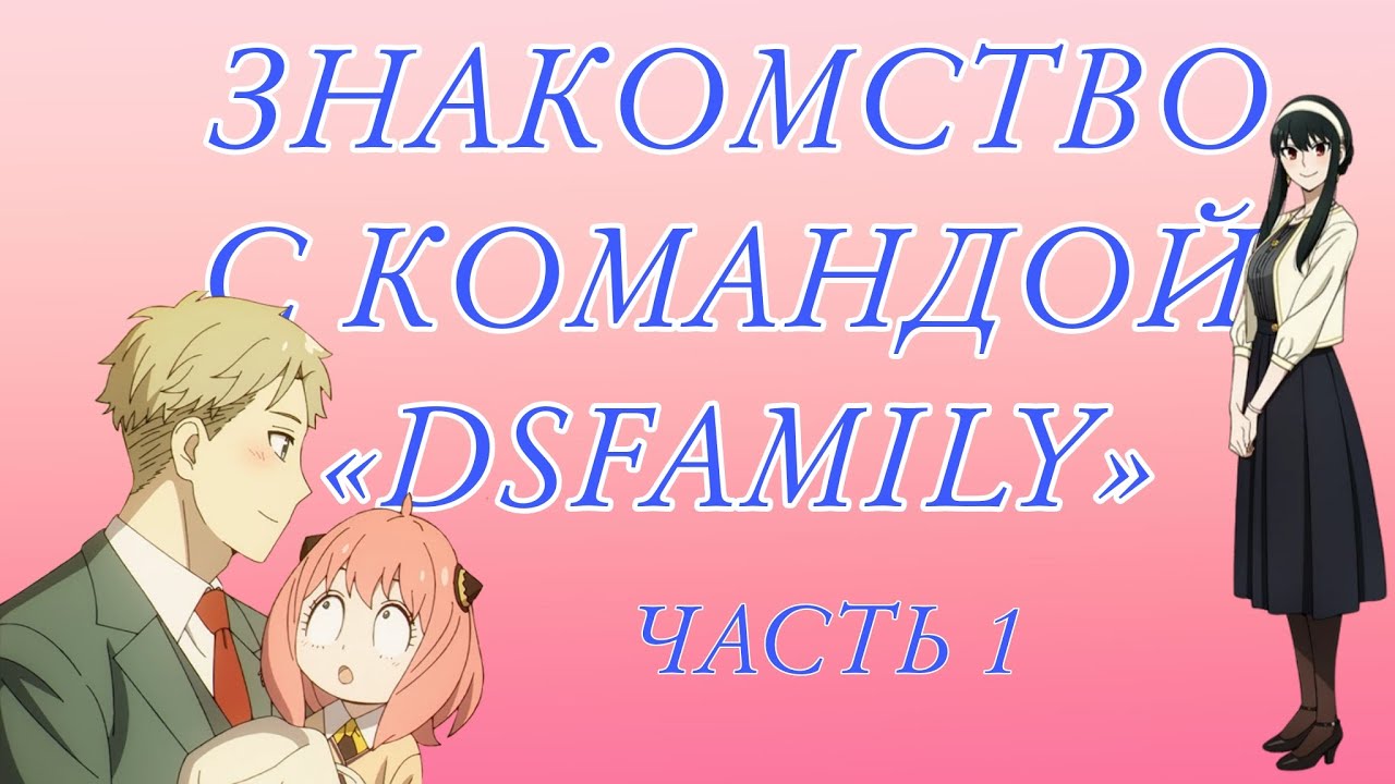 Знакомство с командой &laquo;DSFamily&raquo;, часть 1