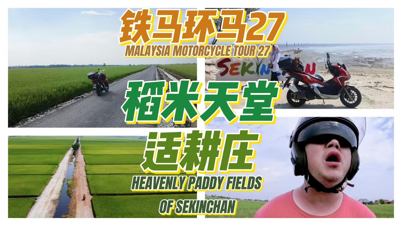 畅游适耕庄:全马最大的稻田景区,农业观光的样板之作,仙境般的鱼米之乡.铁马环马第27集#马来西亚#摩旅#雪兰莪#适耕庄#农业