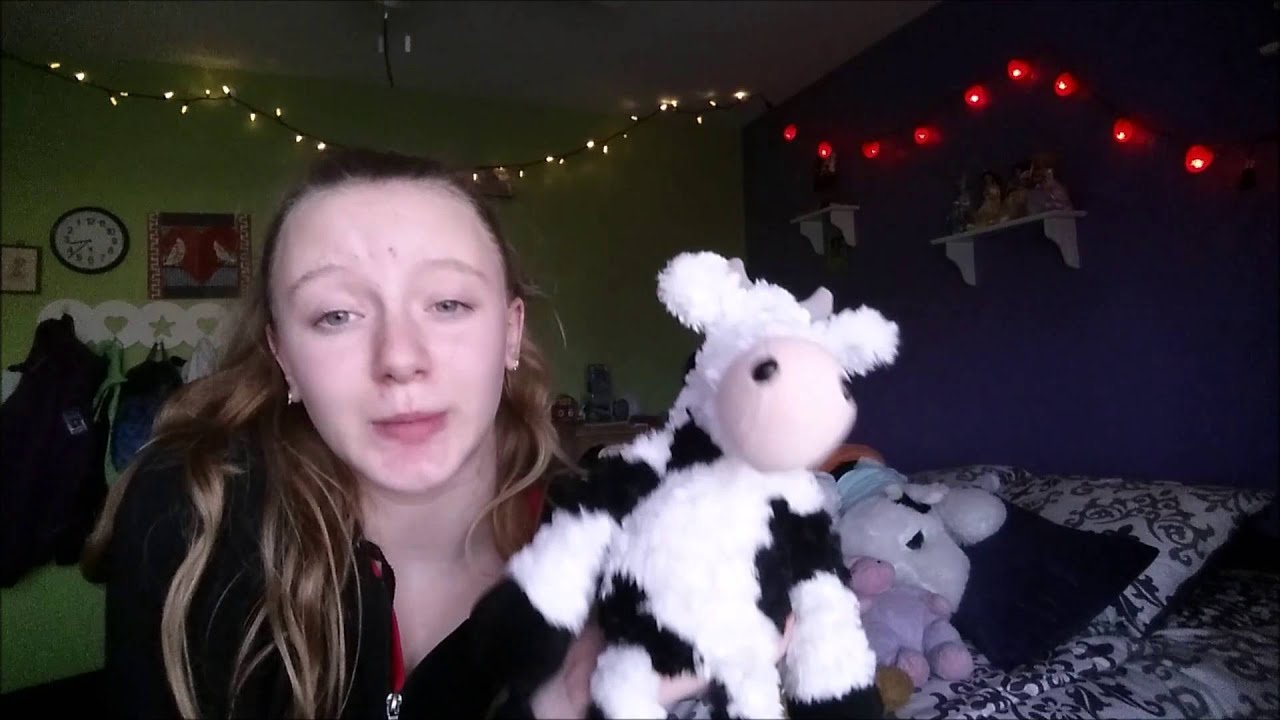 My Cow Collection