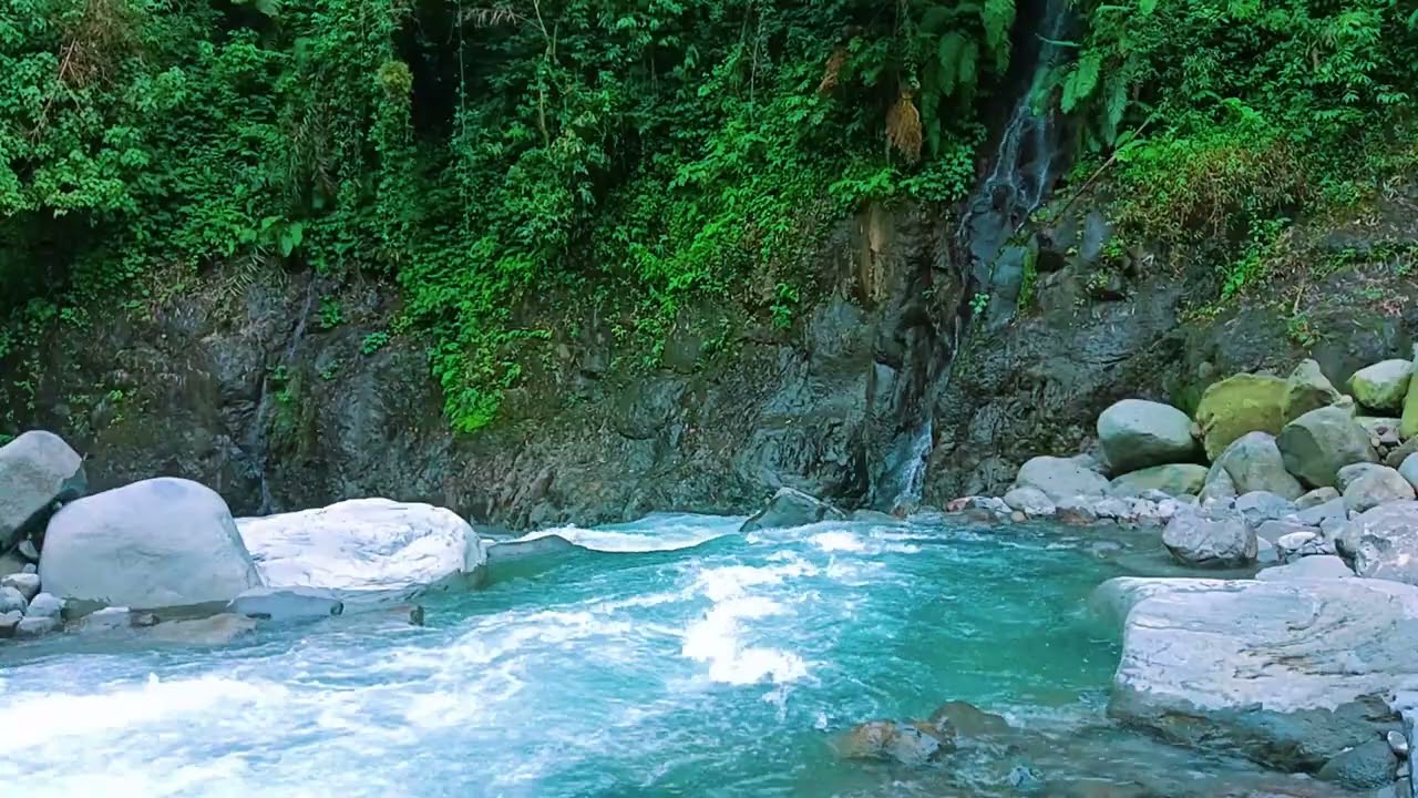 Natural Forest River Sounds for Sleep, Meditation and Healing